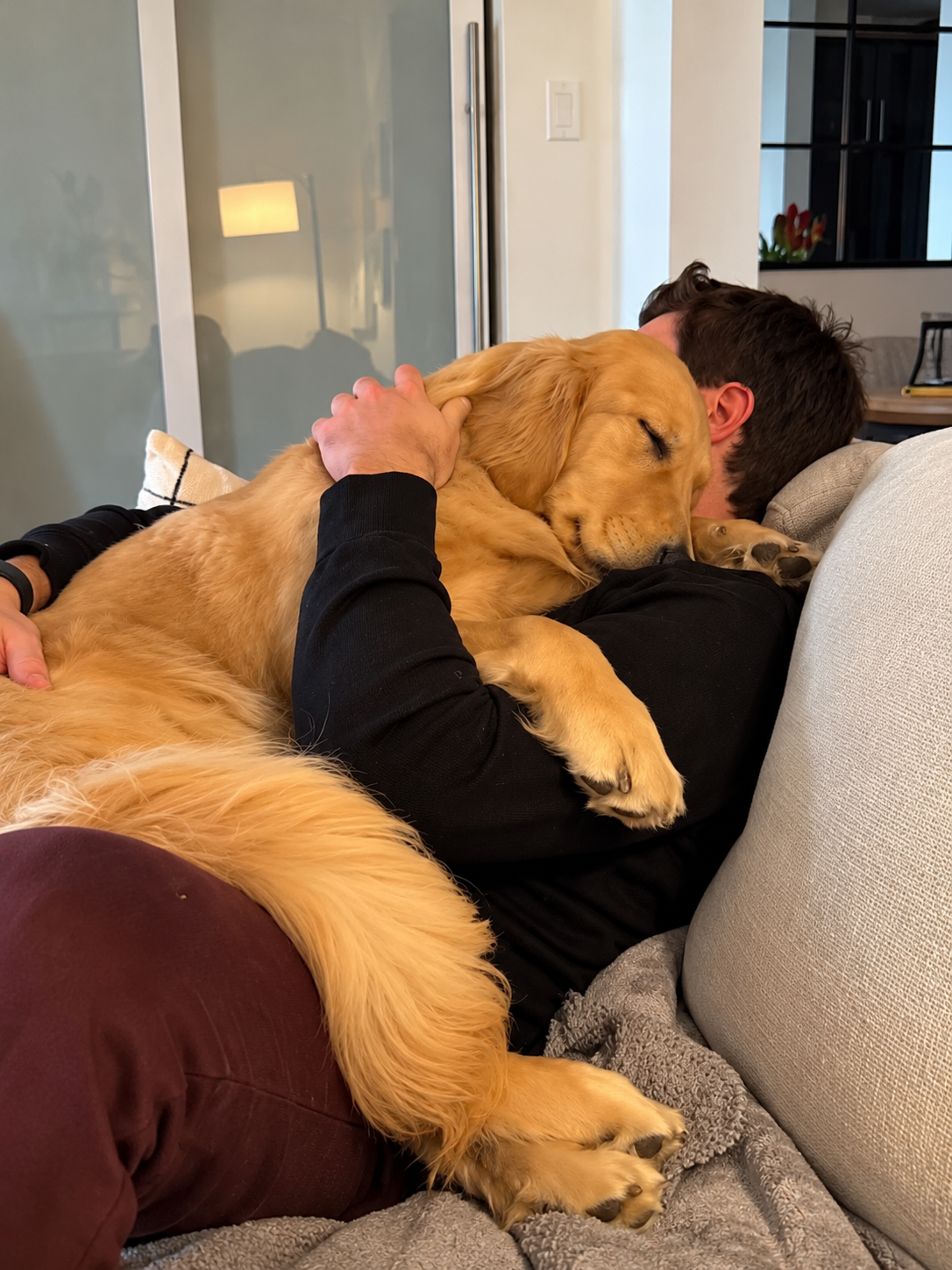 A Story for My Pet